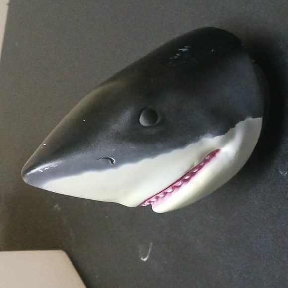 Shark Case - Picture 6 of 8